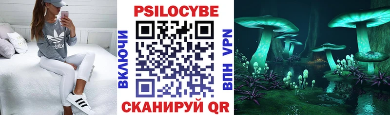 Псилоцибиновые грибы Psilocybine cubensis  Нелидово 